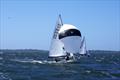 Peter Bevis moves up to shift the weight of the FD, causing Lupicus 60 AUS33 to surge ahead of Blu Tak AUS338 in race four of the Flying Dutchman 2026 Australian Championship &copy; Jeanette Severs