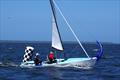 Gary Cameron and Darren Hocking take Blu Tak AUS338 with a failed spinnaker surf across the finish line into a respectable fifth place in race four of the Flying Dutchman 2026 Australian Championship &copy; Jeanette Severs