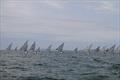 Ronstan British Finn Nationals at Christchurch © Lotte Johnson & Gareth James