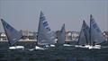 UK Finn Masters Championships at Thorpe Bay © David Maynard / www.alleycatphotographer.com
