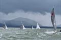 Fireball Irish National Championship at Tralee Bay © Sadhbh Murphy