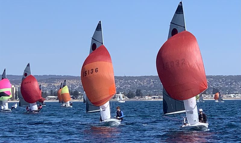 Australian Fireball National Championship 2026 photo copyright Peter Royle taken at Adelaide Sailing Club and featuring the Fireball class