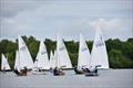 Norfolk Broads Firefly Open © Trish Barnes