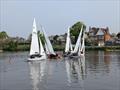 Tamesis Firefly Elizabeth Cup and Junior Cup 2025 © Jo Mason & Matt Dalton