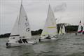 Emma Nettleship Regatta at Bough Beech © Sarah Seddon
