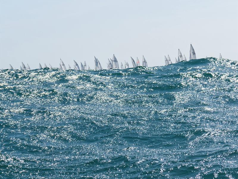Firefly Nationals 2025 at Lyme Regis - photo © Pauline Rook