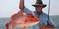 Bipartisan Red Snapper Bill introduced