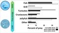 © NOAA Fisheries