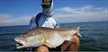 Reel in the redfish while staying at The Pelican Lodge