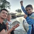 The Ridgeway boys having fun with the local bream population. Happy kids and a very proud dad make for lifetime memories