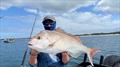 If you want to catch Hervey Bay snapper such as this one of Aiden's then you had better get a wriggle on