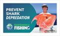 Prevent Shark depredation