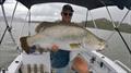 Impoundment barra will be more popular than ever now that our rivers have flooded. Here is Joe with the sort of fish you can catch