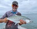 Queenies such as this one of Tony's are commonplace in the southern bay. They will work the fringes of the dirty water now