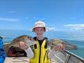 William Harvey added to the Xmas seafood banquet with a couple of nice inshore reefies