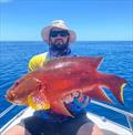 Cambel Black scored this pretty coronation trout offshore in glamour conditions