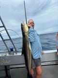 Cobia are often caught on Double Island Point Fishing Charters. Call Greg if you want to experience some of the Fraser Coast's best offshore fishing