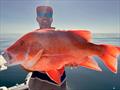 Scott Welch scored some ripper reds after a trip up the Bruce and out to the GBR