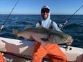 ASA supports season changes, improved access for Chesapeake Bay Striped Bass