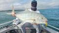 Dan had fun catching goldies, tuna and queenfish with Jacko last weekend