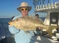 You won't have to drive far offshore from the Wide Bay bar to catch grassies and spangled emperor