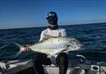 Dan's Rapala Long Cast topwater stickbait was too tempting for this Hervey Bay queenie