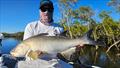 Dan had a fun day out with Jacko. Both were surprised to catch 'small' threadies in dirtied waters created by westerly winds