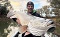 Trelly's Weekly Fishing
