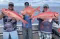 Deep drop fishing