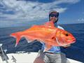 Deep drop fishing