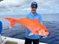 Deep drop fishing