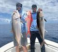 Deep drop fishing