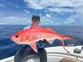 Deep drop fishing