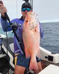Deep drop fishing guide