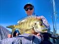 The 55mm Barambah Stinger Shrimp is the perfect lure for our winter bream fishery. Bycatch is bound to be impressive too