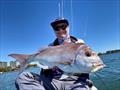 Already proven on inshore snapper elsewhere, the 90mm Barambah Stinger Shrimp HD is perfectly weighted for our waters and bound to be a hit