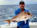 If you can't find any snapper in the bay, then you can head offshore and find them in their thousands
