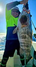 Big estuary cod are still fairly common on some of our reefs. This Hot Reels client worked up a sweat raising this chunky model