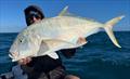 Zac with a golden from the bay. Hervey Bay waters will be invaded by the trevally hordes in coming weeks, so get out there and into 'em