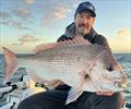Scotty got amongst the bay's snapper immigrants this week