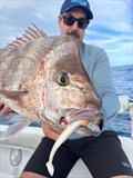 So many different softies can be used to tempt snapper, so don't be pigeon-holed into using the same ol' same ol' and keep it interesting