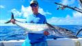 Spaniards are regularly caught by clients on Hot Reels Charters