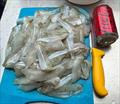 The end result of a session on Hervey Bay's winter whiting. Succulent little whiting fillets that the whole family will enjoy
