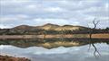 Trelly's Weekly Fishing Report