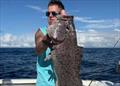 Shane caught this fine 'cattle dog cod' on a recent offshore mission