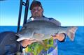 Nathan again with a better-than-average grassy from the northern bay