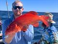 Andrew's family continues to dine on fresh seafood and no-one is complaining when it is coral trout on the menu
