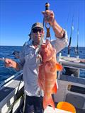 Coots with proof that coral trout will take baited hybrid rigs
