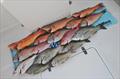 A mixed catch from a recent northern bay reef fishing session