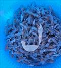 If you rely on yabbies for bait you will benefit from using a Tackle World Live Bait Bucket. Super simple for keeping them alive and refreshing water